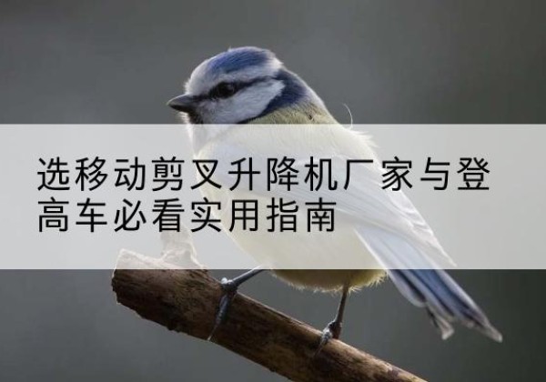海城电动升降机厂家-选移动剪叉升降机厂家与登高车必看实用指南
